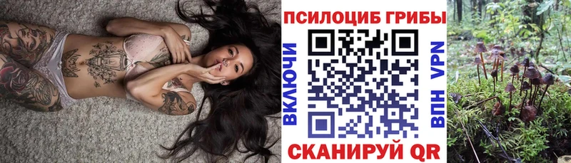 Псилоцибиновые грибы мицелий  Купить закладки  Теберда 